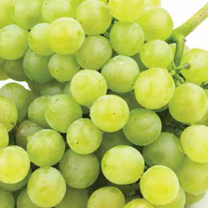 red or green grapes